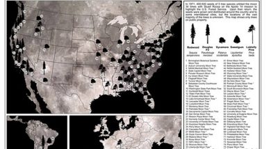 Onde estão localizadas as “árvores lunares” na Terra?  NASA revela onde as “sementes espaciais” do mundo foram plantadas