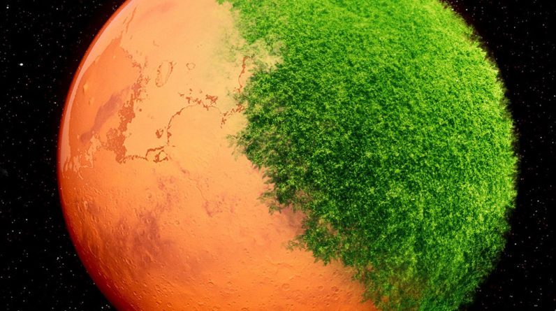 Por que alguns cientistas pensam que a vida pode ter começado em Marte