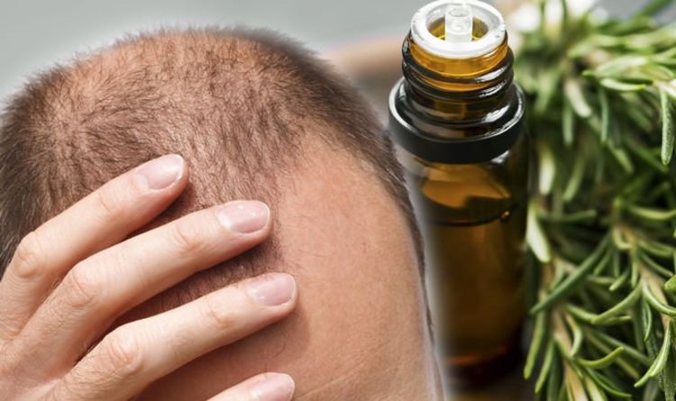 Tratamento para queda de cabelo: o óleo de alecrim ajuda a tratar a queda de cabelo para aumentar o crescimento do cabelo