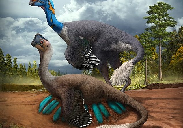 Um estudo relatou que os restos fossilizados de um dinossauro sentado em um ninho de ovos, completo com embriões mantidos dentro, foram descobertos na China.