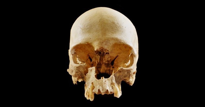 Como esse crânio acabou sozinho em uma caverna na Itália?  Finalmente temos uma resposta