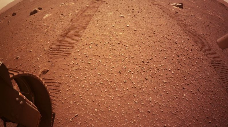 Observe o vórtice do demônio da poeira com o rover Mars Perseverance