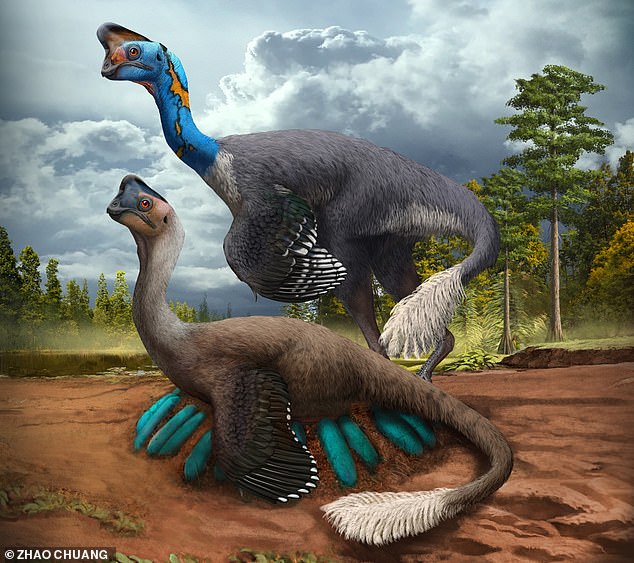 Um estudo relatou que os restos fossilizados de um dinossauro sentado em um ninho de ovos, completo com embriões mantidos dentro, foram descobertos na China.