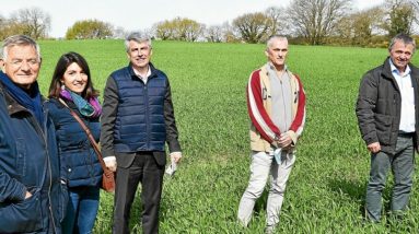 Como a Bretanha quer desenvolver a agricultura renovável – a economia