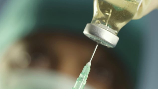 Resultados promissores para a vacina de fase II do Medicago