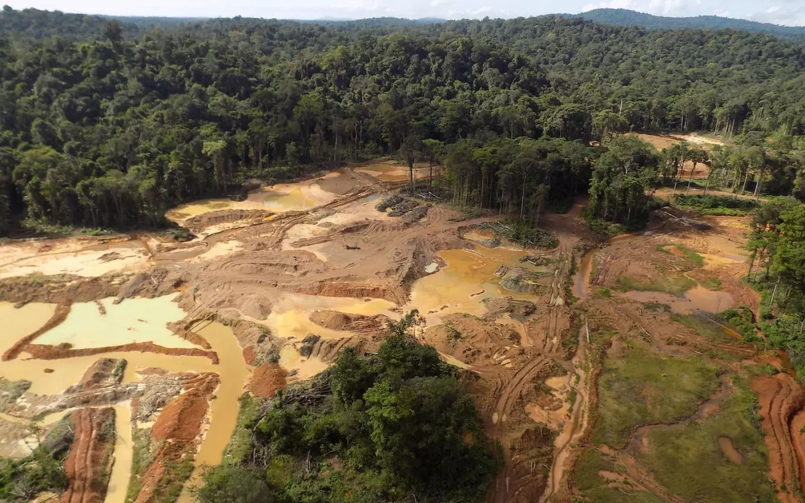 Guiana: A luta contra a mineração de ouro deve estar no comando do Estado, segundo relatório parlamentar