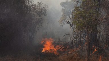 O novo ministro do Meio Ambiente, advogado da agroindústria junto ao leito da Amazônia