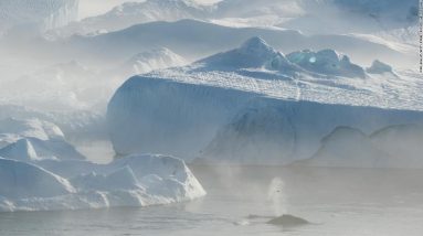 Corrente do Golfo: Um sistema crítico de correntes oceânicas está mostrando sinais de instabilidade.  O sistema de correntes oceânicas na Corrente do Golfo está mostrando sinais de instabilidade.  Desligá-lo pode ser desastroso.