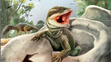 Répteis fósseis interessantes fornecem pistas sobre a origem de cobras e lagartos