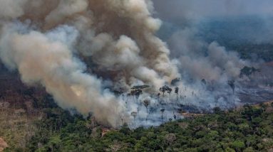 Brasil vai contratar mais autoridades ambientais para combater incêndios florestais