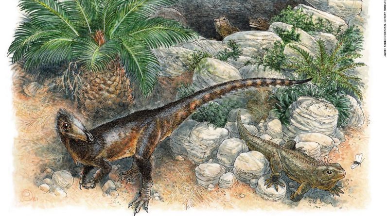 O dinossauro Dinky era o mais jovem de seu tipo quando vagou pelo País de Gales, 200 milhões de anos atrás