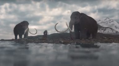 Estudo diz que a mudança climática matou mamutes peludos, não humanos