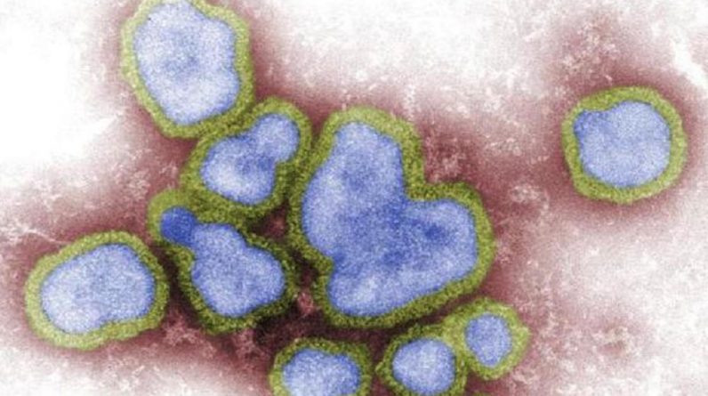 A China relatou três casos humanos de gripe aviária H5N6