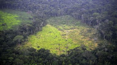 Brasil quer ter um debate 'honesto' sobre as reparações da Amazônia