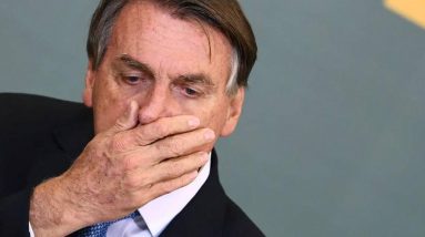 Desmatamento: uma denúncia de ‘crime contra a humanidade’ contra o Bolsonaro perante o Tribunal Penal Internacional