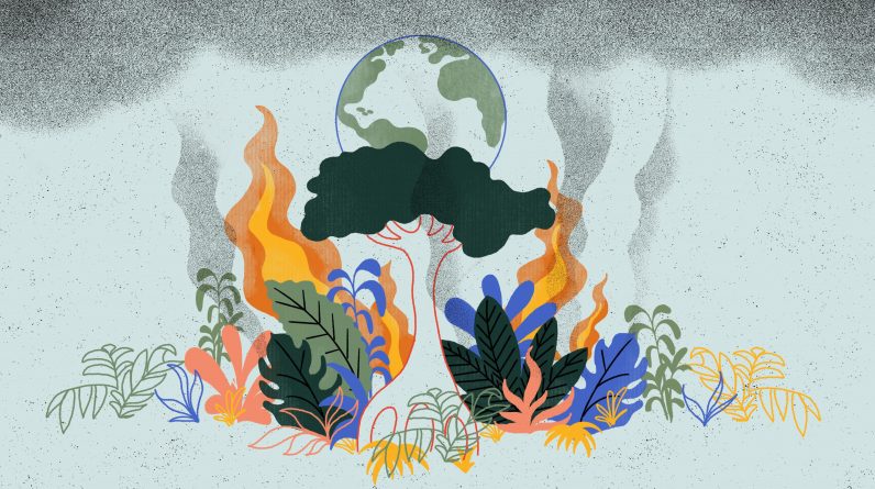 Mudança climática: e se a selva se voltasse contra nós?