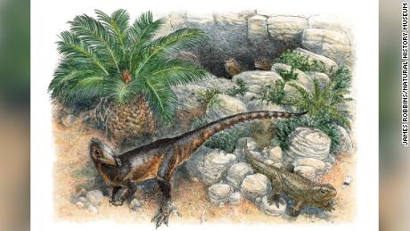 Uma reconstrução artística de uma nova espécie de dinossauro.  Ilustração de James Robbins
