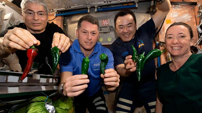 O problema do banheiro quebrado da SpaceX força os astronautas a usar fraldas ao voltar para casa