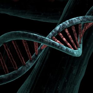 Lançando luz sobre a matéria escura no DNA humano