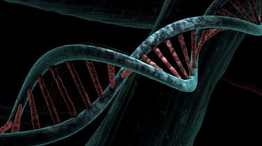 Lançando luz sobre a matéria escura no DNA humano