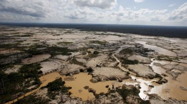 COP26 ataca metano e protege florestas – Política Econômica