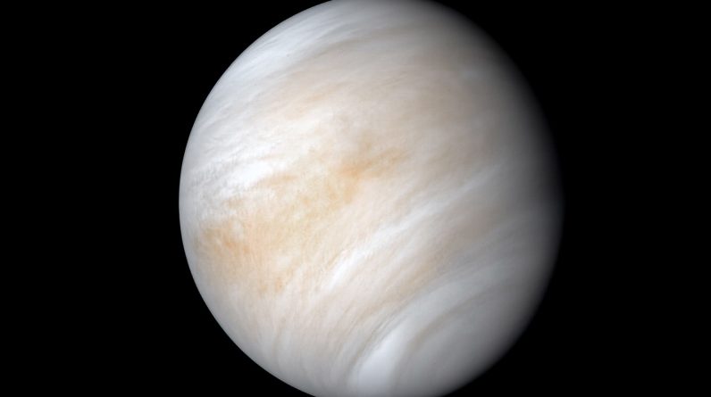 Os cientistas dizem que a vida pode criar um novo ambiente em Vênus