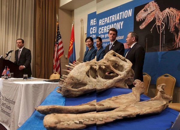 Contrabando de fósseis: o fim de arqueólogos inescrupulosos?