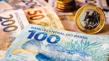 Economia brasileira sofre - Aves