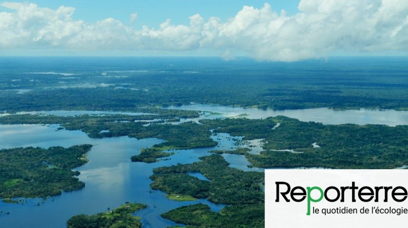 A Amazônia, uma floresta despovoada pelo colonialismo
