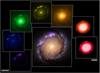 Várias fotos da mesma galáxia em cores diferentes