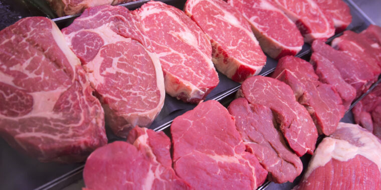 Comer carne realmente nos tornou humanos?