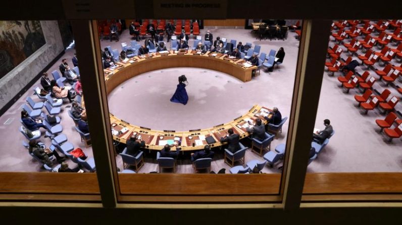 La réunion du Conseil de sécurité de l'ONU sur l'Ukraine.