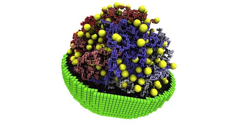 Bioengenheiros modelaram o funcionamento da forma de vida sintética mais básica do mundo