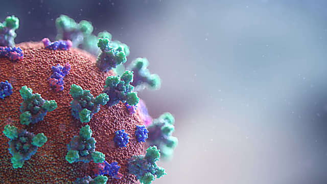 COVID-19: À medida que o Omicron se espalha, surgem dois novos sinais de que o vírus pode estar