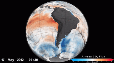 Estudo confirma que o Oceano Antártico absorve carbono - uma importante fonte de emissões de gases de efeito estufa
