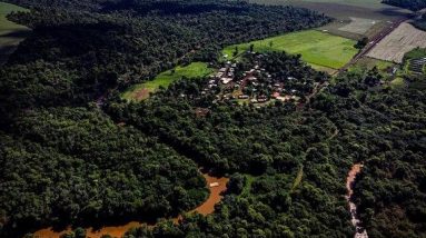 Bagas da Amazônia são convocadas para ajudar a combater o câncer
