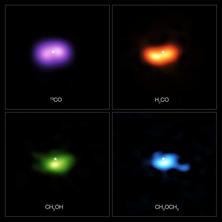 Molecules in Disc Around Star IRS 48