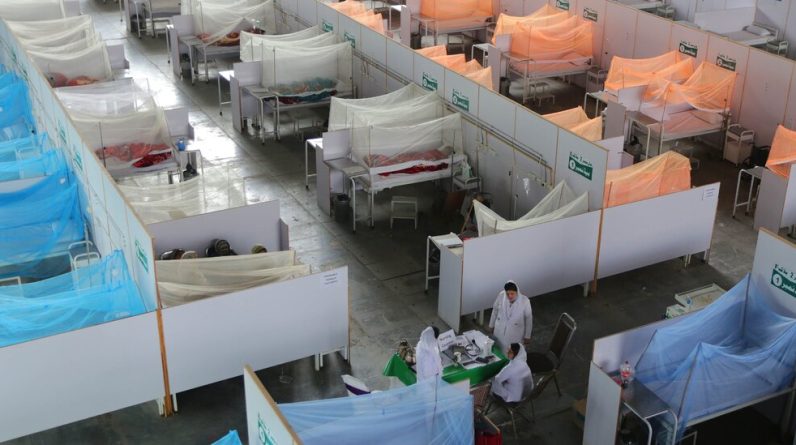 Restrições da Covid impediram a dengue em centenas de milhares de pessoas em 2020