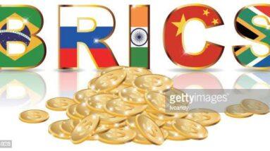 Moeda do BRICS não está na agenda da cúpula de agosto, segundo autoridade sul-africana