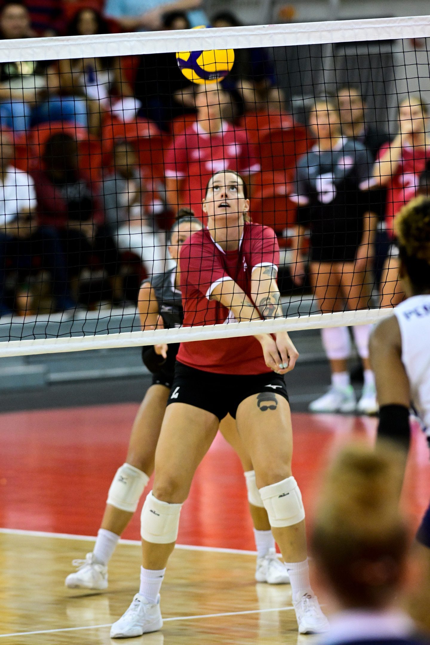 Vicky Savard e Canadá perderam em quatro sets na noite de sábado. 