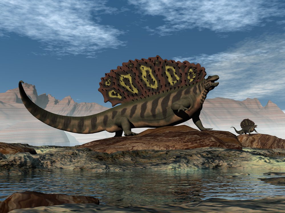 Edavosaurus em pé sobre uma rocha. 