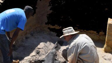 Arqueólogos descobriram a estrutura de madeira mais antiga do mundo