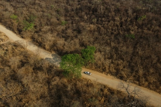 cerrado