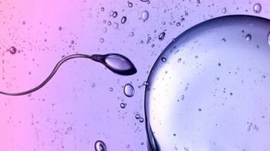 Cientistas descobrem que o esperma desafia uma das principais leis da física: ScienceAlert