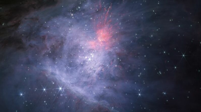 Descoberta JuMBO: nova imagem de Webb revela misteriosos objetos semelhantes a planetas na nebulosa de Orion
