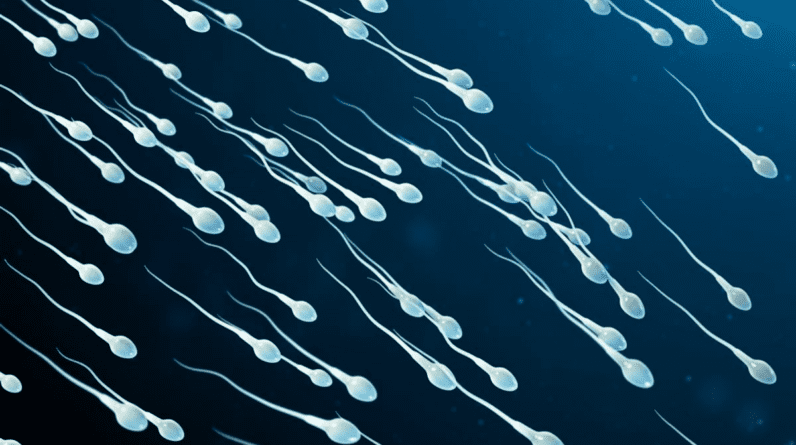 O esperma foi pego infringindo a lei - a terceira lei do movimento de Newton