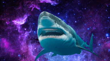Os tubarões são tão antigos que já circularam pela galáxia duas vezes (até agora)