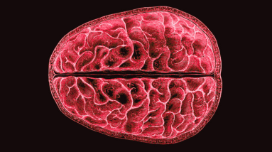 Pela primeira vez, cientistas mostram mudanças estruturais no nível do cérebro durante a menstruação: ScienceAlert