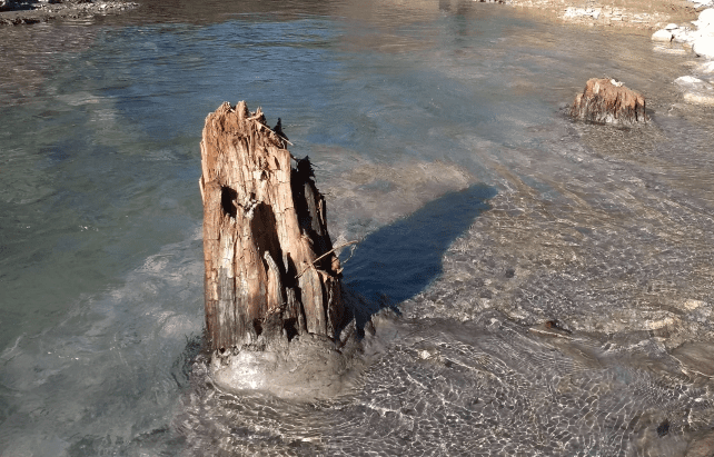 Os troncos das árvores são visíveis projetando-se da superfície da água do rio