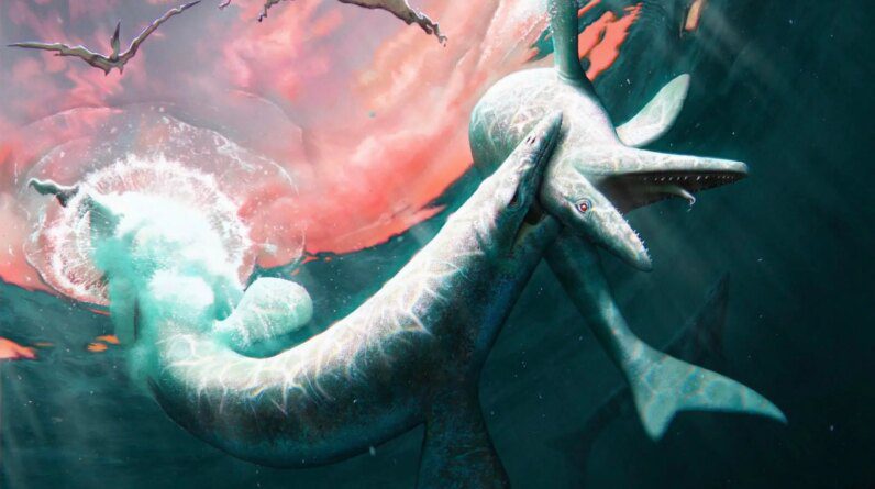 Two Jormungandr Walhallaensis Mosasaurs Fighting